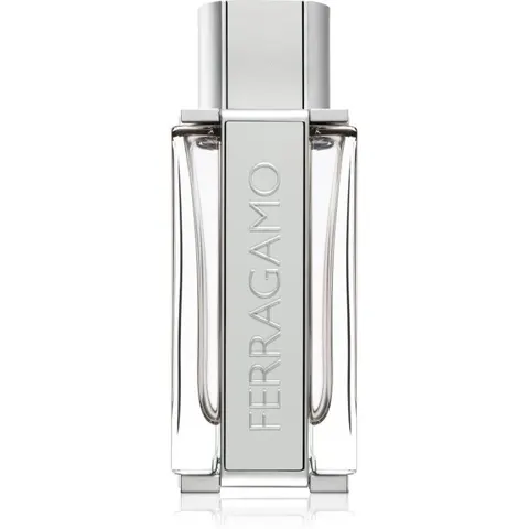Ferragamo Bright Leather EDT M 100 ml – image 3