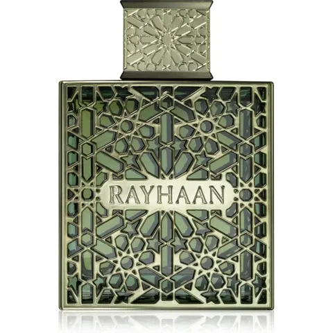 Rayhaan Terra Eau de Parfum for men 100 ml – image 2