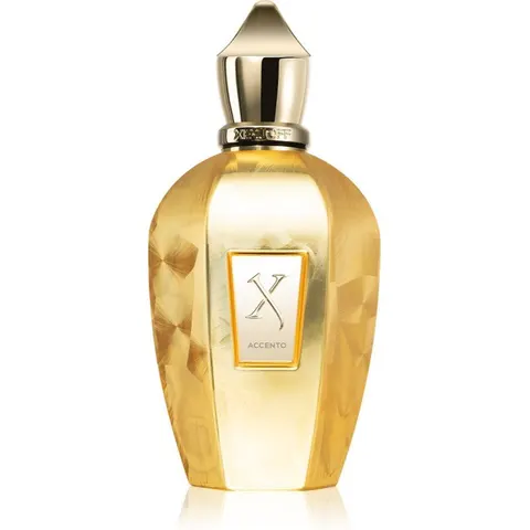 Xerjoff Accento Overdose EDP U 100 ml – image 2