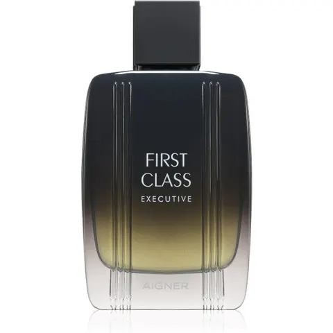Etienne Aigner First Class Executive EDT M 100 ml – image 3