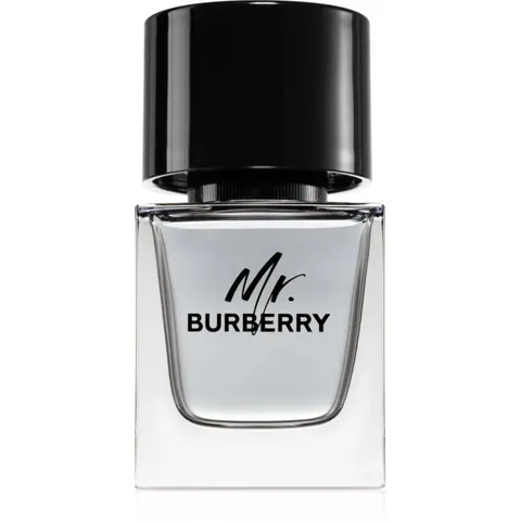 Mr. Burberry EDT M 50 ml – image 3