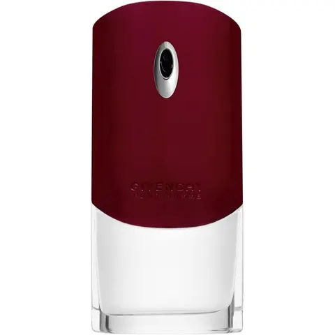 GIVENCHY Pour Homme EDT M 100 ml – image 3