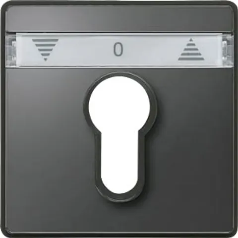MERTEN 348214 - Central plate for shutter button/locking switch insert, anthraci – image 2