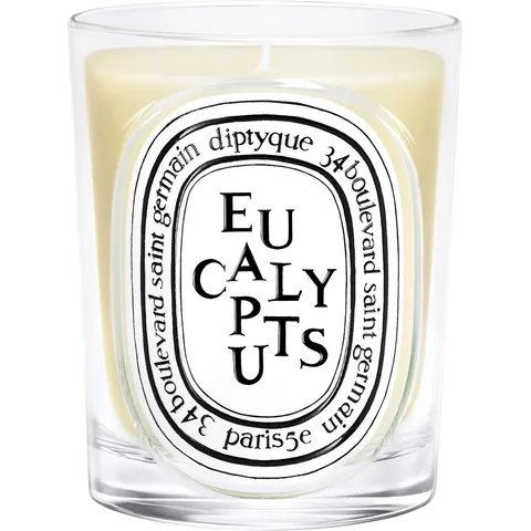 190g diptyque Eucalyptus Classic Candle – Bild 2