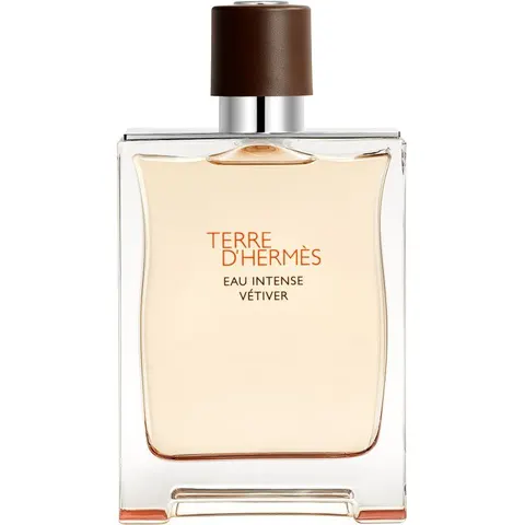 Terre D'Hermès Eau Intense Vétiver – 200ml – image 3