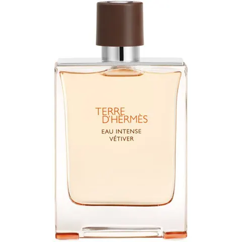 Terre D'Hermès Eau Intense Vétiver – 100ml – image 3