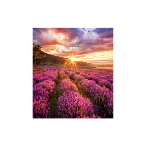 Samsung IF015E Transparent (mesh) LED Indoor – image 2