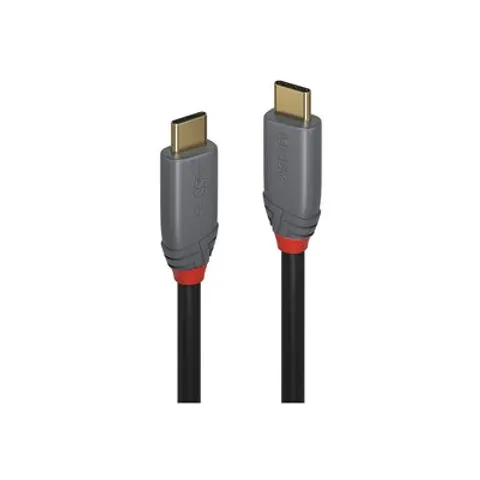 LINDY 2m USB 3.2 Typ C Kabel 5A PD An – Bild 2