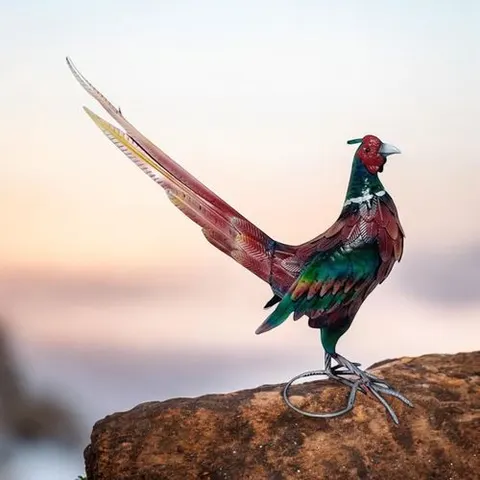 63CM BIRD – image 2