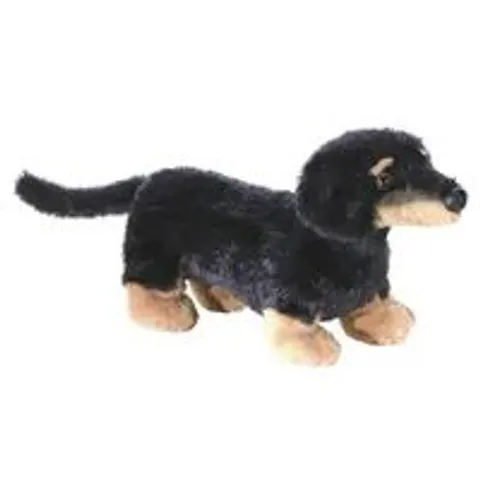 Aurora MF VIENNA DACHSHUND – Bild 2