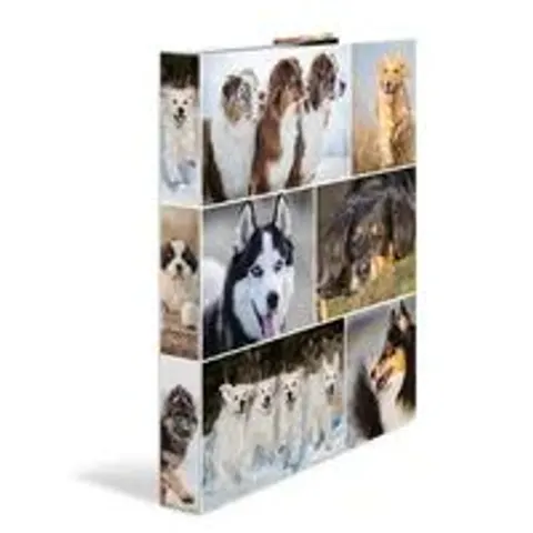 HERMA Ringbuch A4 Hunde 4D – Bild 2