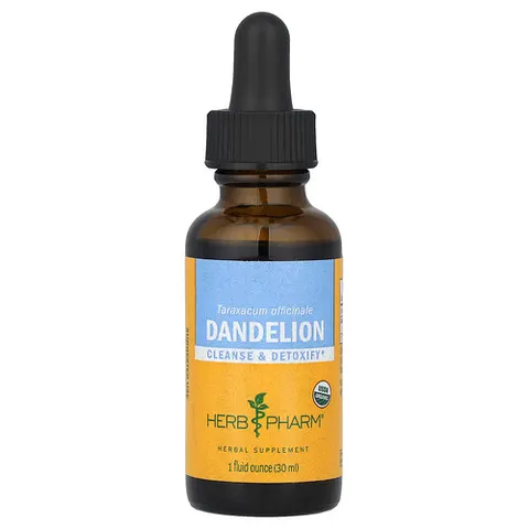 Dandelion – image 2