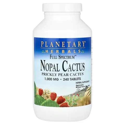 Full Spectrum Nopal Cactus – image 2