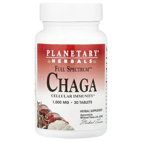 Full Spectrum Chaga – image 2