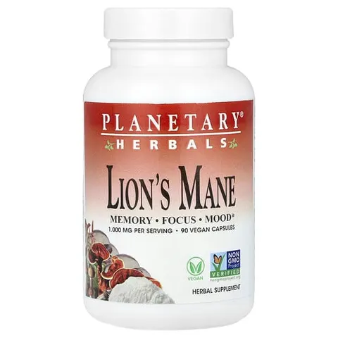 Lion's Mane – 107811 – image 2