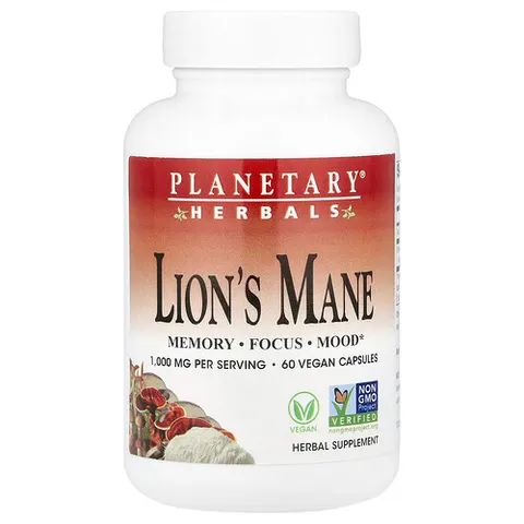 Lion's Mane – 107804 – image 2