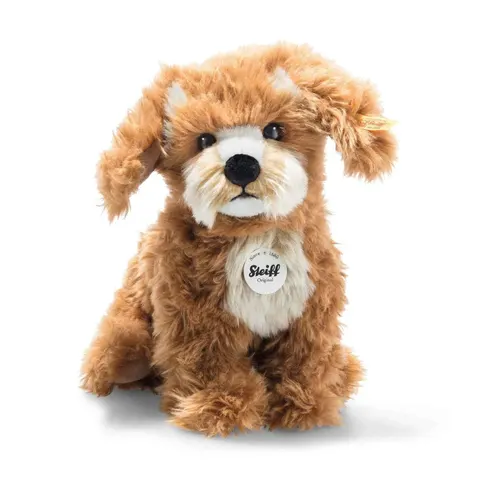 Curlie Cockapoo – image 2