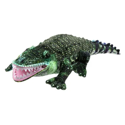 Alligator - Large Creatures – image 2