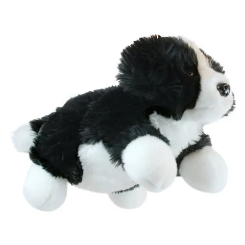 Border Collie - Full-Bodied – image 2