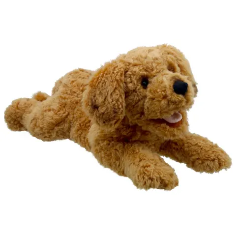 Cockapoo - Playful Puppies – image 2