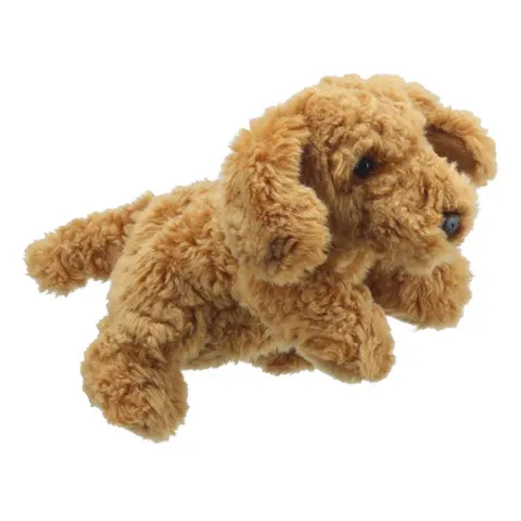 Cockapoo - Full-Bodied – image 2