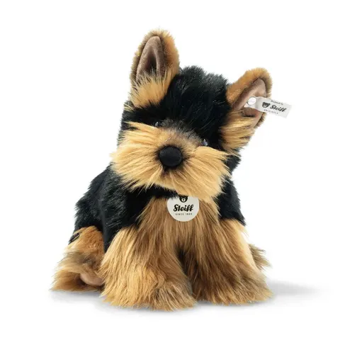 Herkules Yorkshire Terrier – image 2