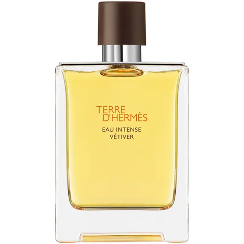 Terre D'Hermès Eau Intense Vétiver – 100ml – image 2