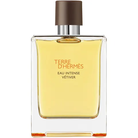 Terre D'Hermès Eau Intense Vétiver – 200ml – image 2