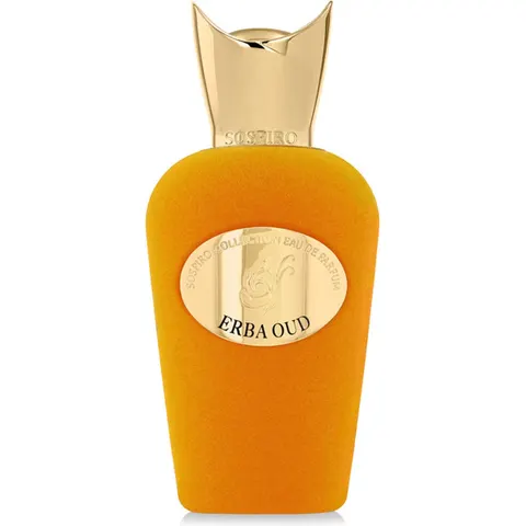 Sospiro Erba Oud Eau de Parfum mixte 100 ml – image 2