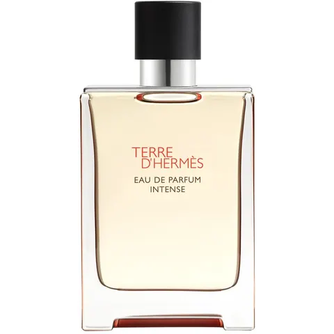 Terre d'Hermès Intense – 100ml – image 2