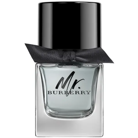 Mr Burberry – image 2