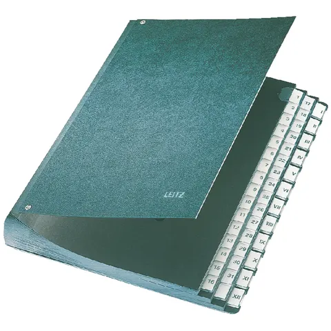 Leitz - Bureaumap - Karton - 31 Scheidingsbladen – afbeelding 3