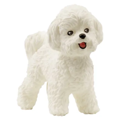 Schleich Bichon Frise Hondenfiguur – afbeelding 2