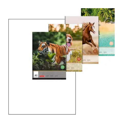 Zeichenblock | A3, 10 Blatt, sortiert – mehrfarbig – Bild 2