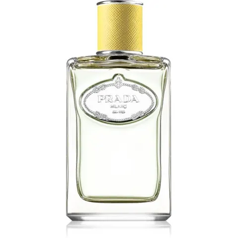 Prada Les Infusions de Gingembre Eau de Parfum, 100 ml – afbeelding 3