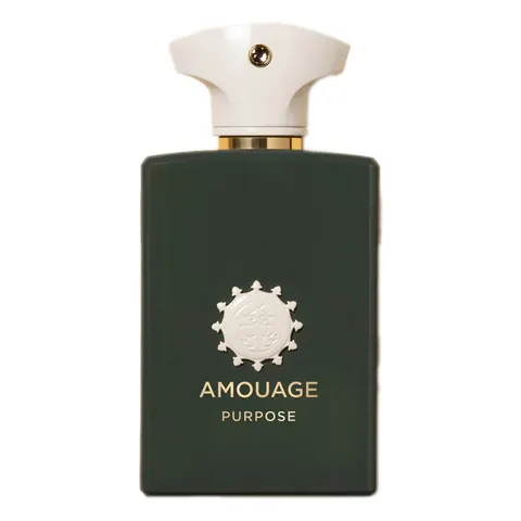 Amouage Purpose Man Eau de Parfum 100ml – image 3