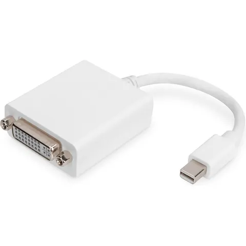 Mini DP naar DVI-D Adapter Kabel - Wit – afbeelding 2