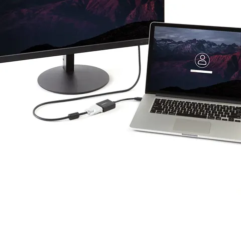StarTech Mini DisplayPort naar DVI Video Adapter Converter – afbeelding 2