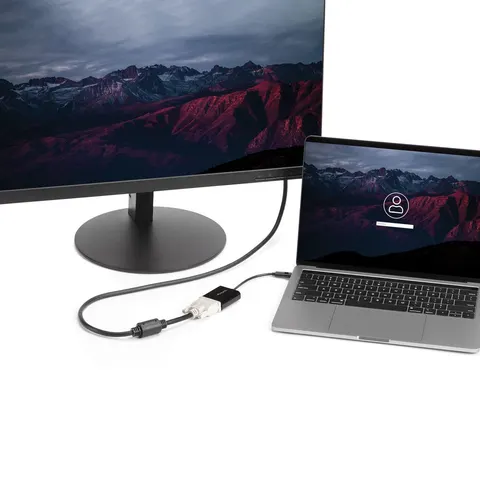 StarTech - USB-C naar DVI Adapter - Full HD - Compact – afbeelding 2