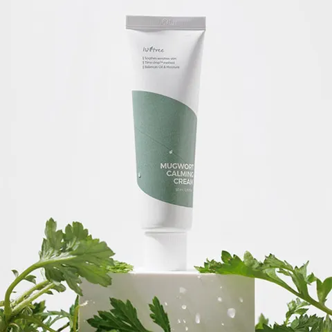 Isntree Mugwort Calming Cream 50ml – afbeelding 2