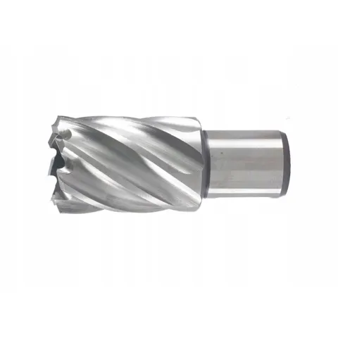 Hikoki kernboor 12x55/85mm hss – afbeelding 2
