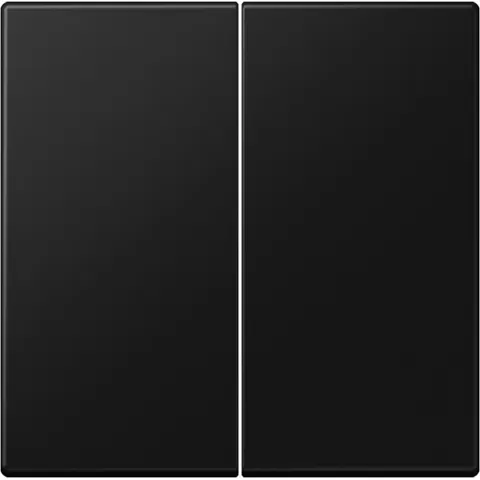 Jung LS Range Bedieningselement/Centrale Plaat LS995SWM - E2VZW – afbeelding 2