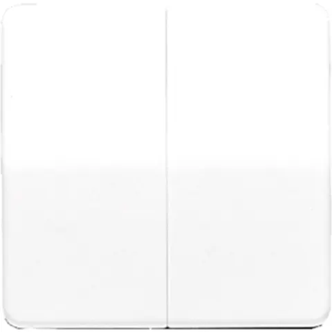 Jung CD500 Schakelelement/Centrale Plaat - CD595 - E2V2V – afbeelding 2