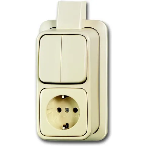 Busch Jaeger 2601/5/2300 Eapj Combi. Ra S – afbeelding 2
