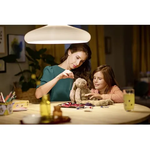Philips LED Lamp Mat - 100 W - E27 - warmwit licht – afbeelding 2