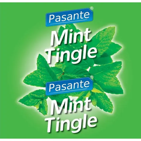 Pasante Mint Flavour Condooms 144 stuks – afbeelding 2