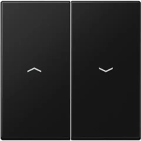 Jung LS Range Bedieningselement/Centrale Plaat LS995PSWM - E2VZU – afbeelding 2