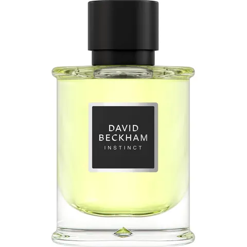 David Beckham Instinct Eau de Parfum voor Mannen 75 ml – afbeelding 2