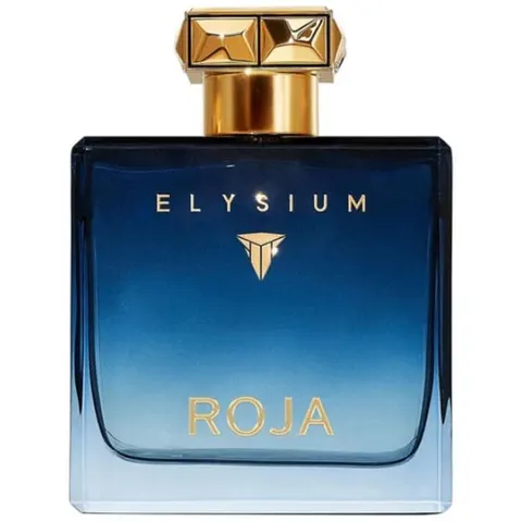 Roja Elysium Pour Homme 100ml EDP – afbeelding 2