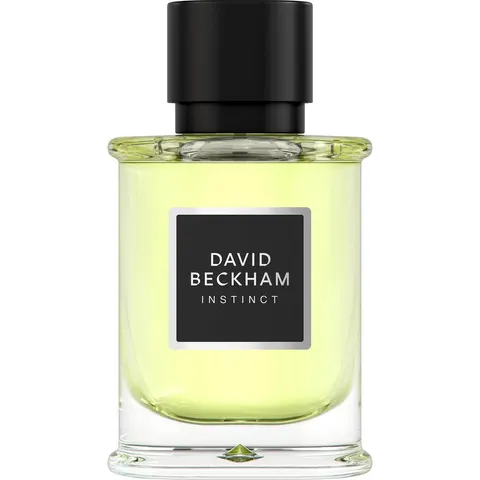 David Beckham Instinct Eau de Parfum, 50 ml – afbeelding 2